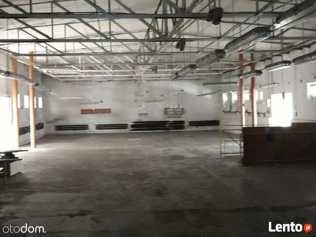Hala/Magazyn, 3 240 m², Radzymin