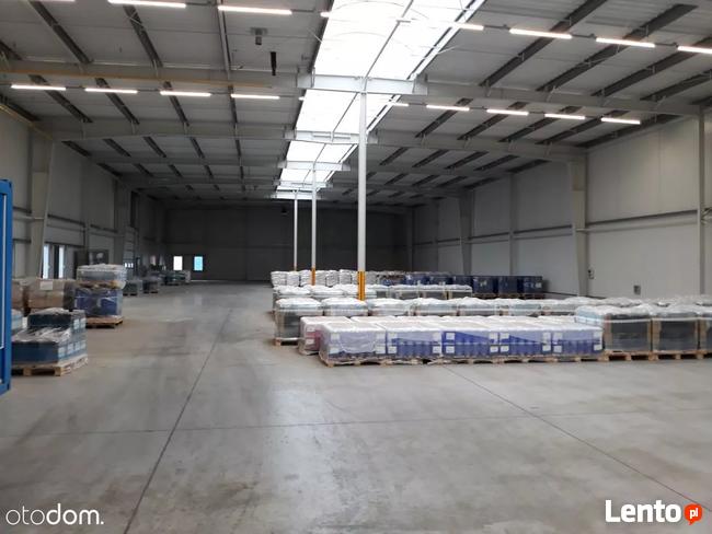 Hala/Magazyn, 6 000 m², Białystok