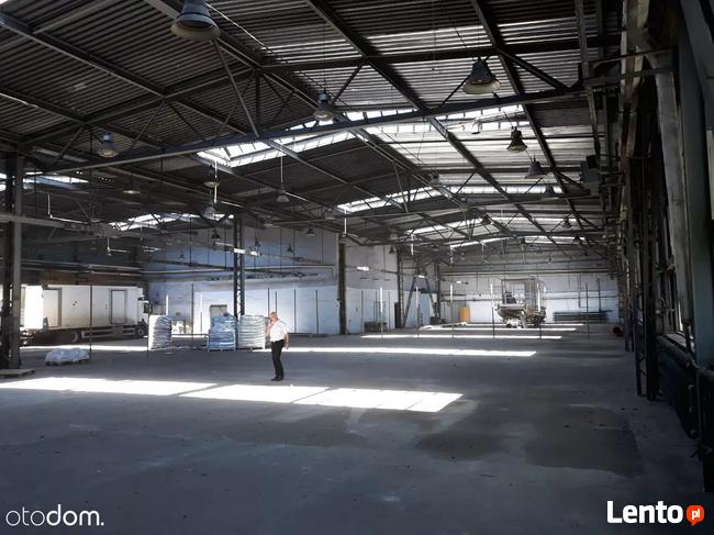 Hala/Magazyn, 1 620 m², Katowice