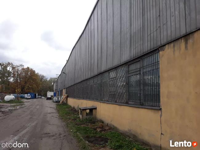 Hala/Magazyn, 2 339 m², Marki