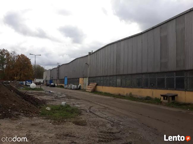 Hala/Magazyn, 6 800 m², Pruszków