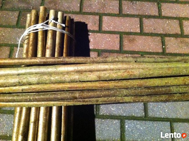 Kupię kije leszczynowe okrągłych lub szczepanych