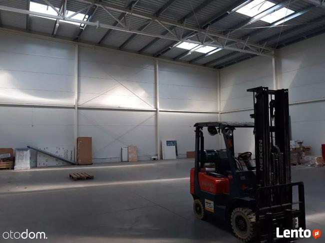 Hala/Magazyn, 1 620 m², Katowice