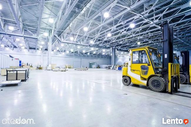 Hala/Magazyn, 1 620 m², Katowice