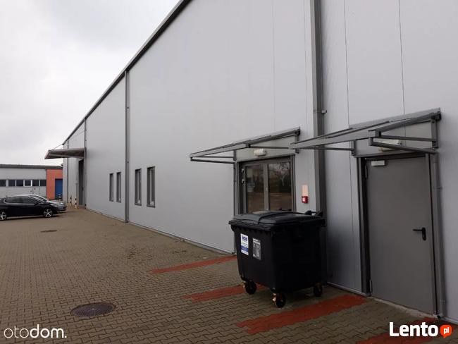 Hala/Magazyn, 5 670 m², Toruń