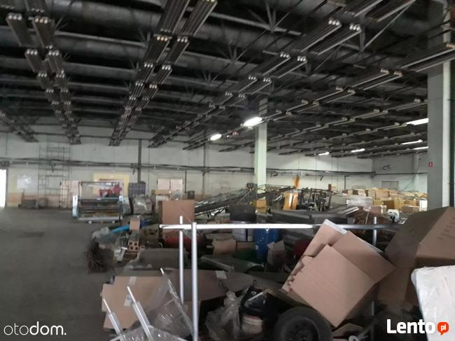 Hala/Magazyn, 6 800 m², Pruszków