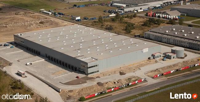 Hala/Magazyn, 10 000 m², Zgierz