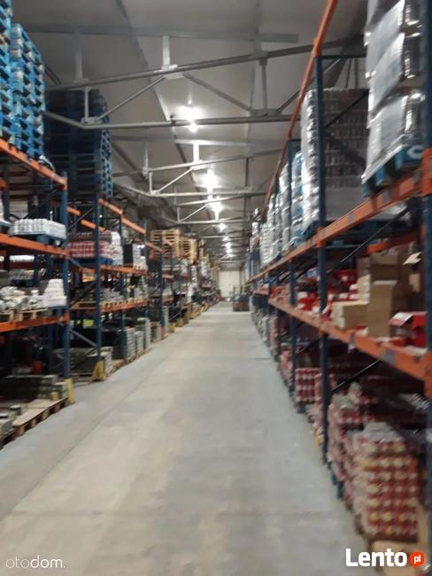 Hala/Magazyn, 6 000 m², Opole