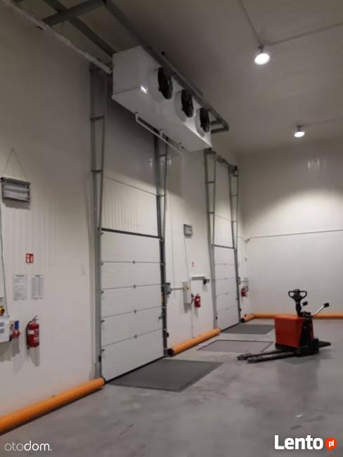 Chłodnia do wynajęcia - Marki Warszawa 2000 m2