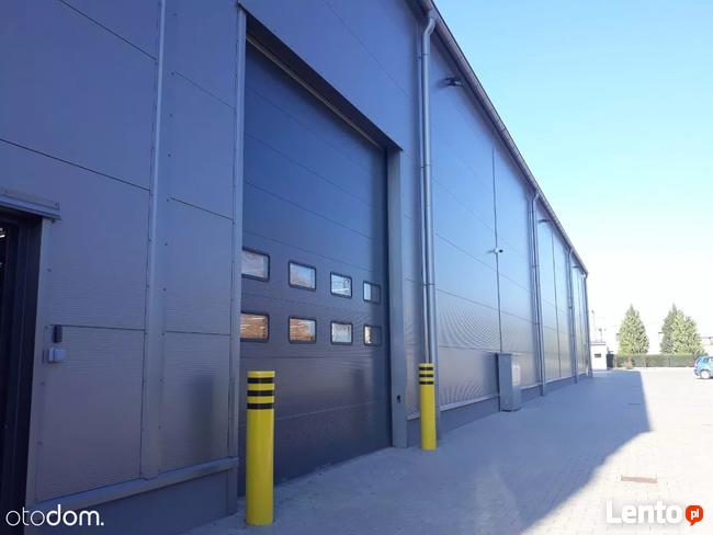 Hala/Magazyn, 10 000 m², Mysłowice - TANIO / teraz