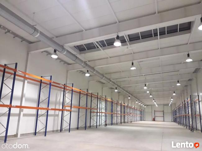 Hala/Magazyn, 1 700 m², Wrocław