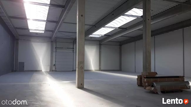 Hala/Magazyn, 6 000 m², Opole