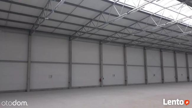 Hala/Magazyn, 8 350 m², Gliwice