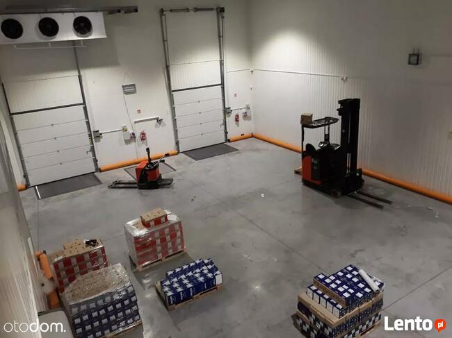 Chłodnia do wynajęcia - Mysłowice 2400 m2 , hala