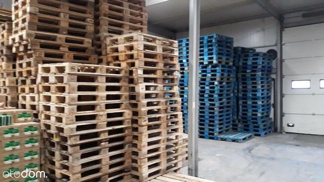 Hala/Magazyn, 6 000 m², Opole