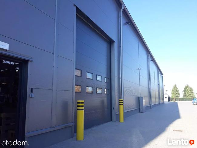 Hala/Magazyn, 8 350 m², Gliwice