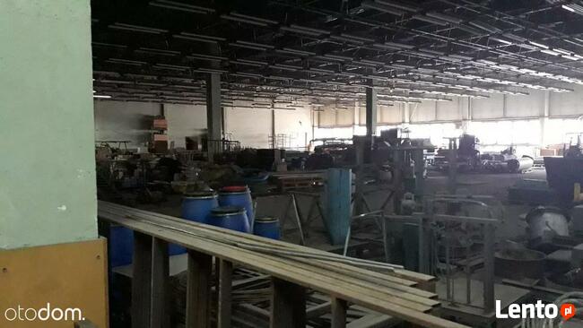 Hala/Magazyn, 10 000 m², Zgierz
