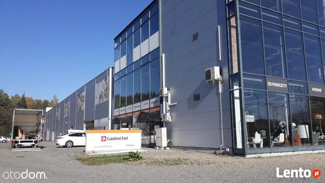 Hala/Magazyn, 6 000 m², Opole
