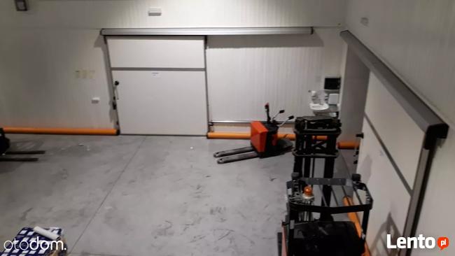 Hala/Magazyn, 3 400 m², Ozorków