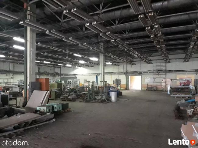 Hala/Magazyn, 10 000 m², Zgierz