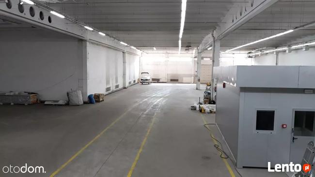 Hala/Magazyn, 3 780 m², Toruń