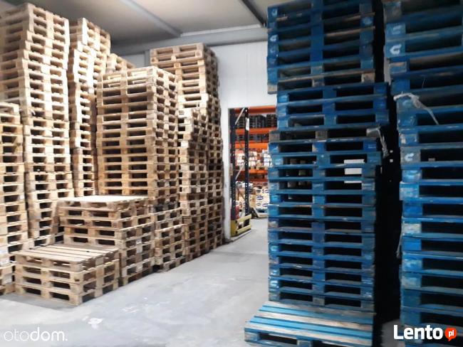 Hala/Magazyn, 6 000 m², Opole