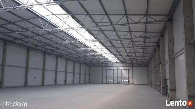 Hala/Magazyn, 8 350 m², Gliwice