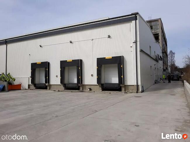 Chłodnia do wynajęcia - Mysłowice 2400 m2 , hala