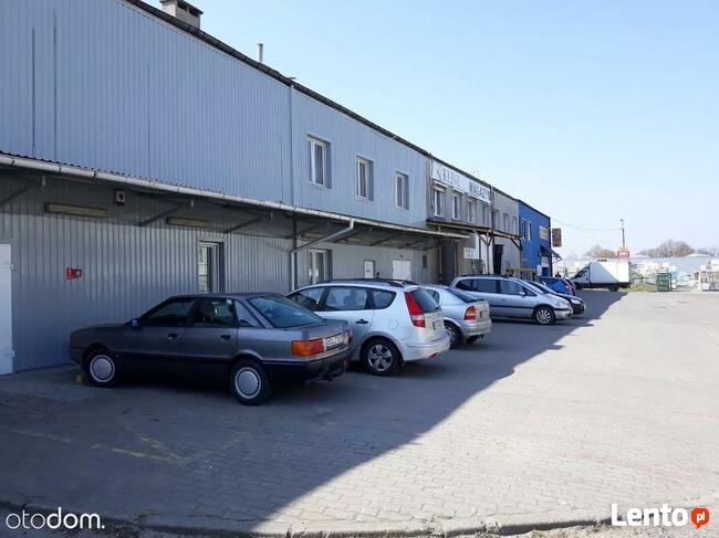 Hala/Magazyn, 3 780 m², Toruń