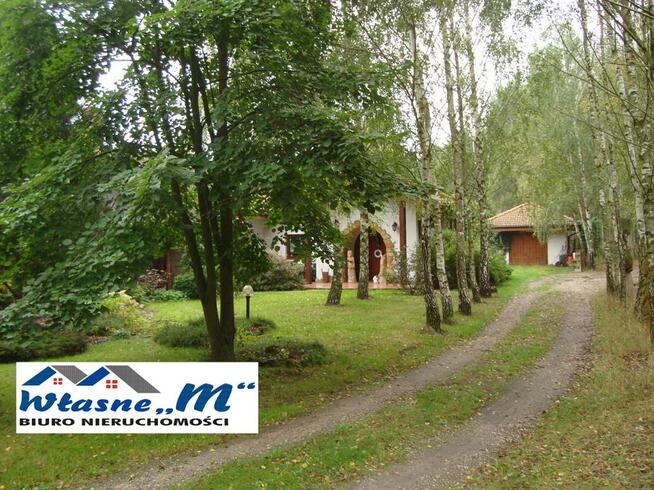 Działka usługowa Gołaszewo gm. Kowal