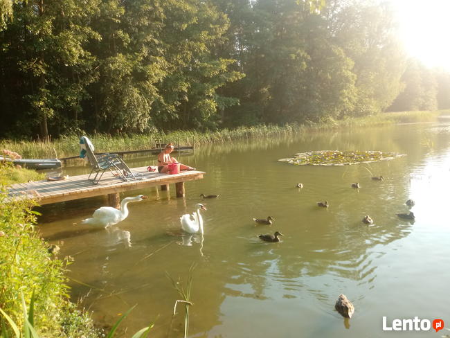 Domek Letniskowy nad jeziorem Augustów-Sajenek