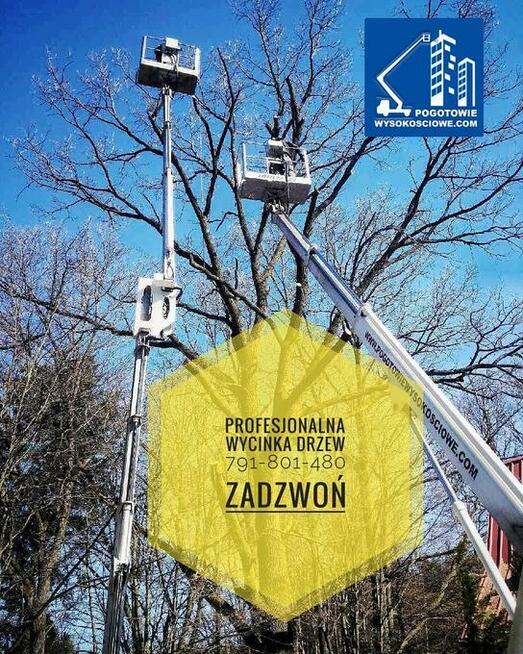 Wycinka krzaków oczyszczanie zarośli karczowanie Mulczer