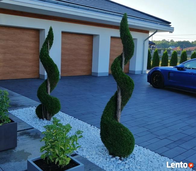 Artystyczne cięcie krzewów oraz Żywopłotów