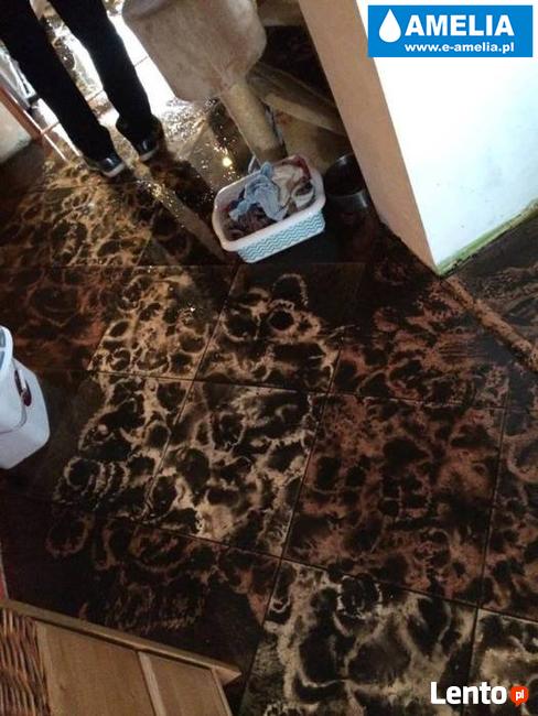 Sprzątanie po wybiciu kanalizacji zalaniu Brzesko