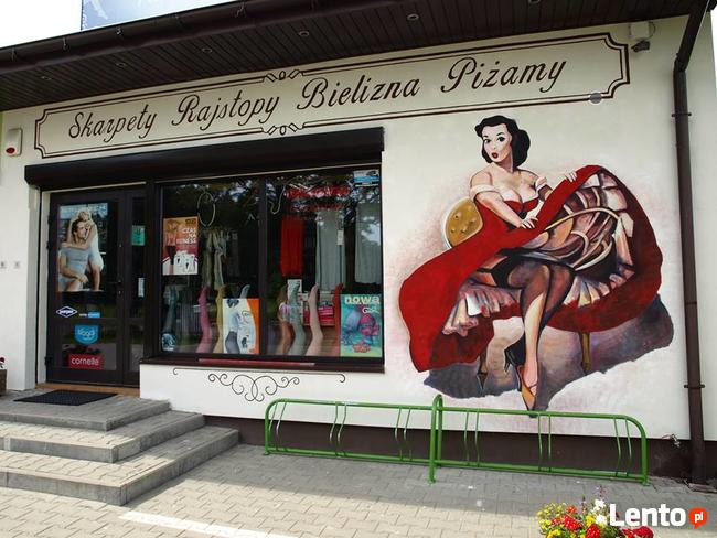 Artystyczne malowanie ścian