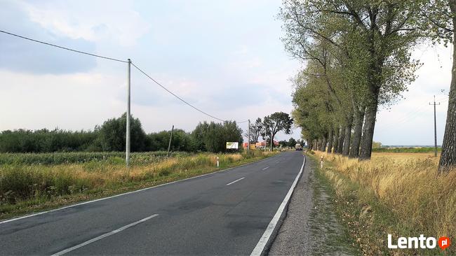 ATRAKCYJNA DZIAŁKA INWESTYCYJNA 92ar przy DW 335 Biała