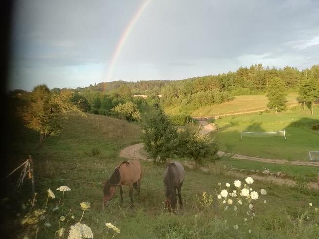 Agroturystyka Dolina Szymlalia Gąski (Olecko, Ełk)