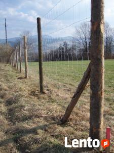 Ogrodzenia tymczasowe z siatki leśnej ogrodzenia budowlane