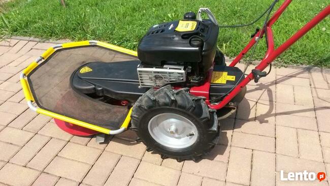 Koszenie trawy karczowanie zarośli, samosiejek