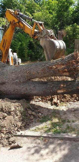 Usługi-Koparka Ładowarka Gniezno cat koparka wynajem