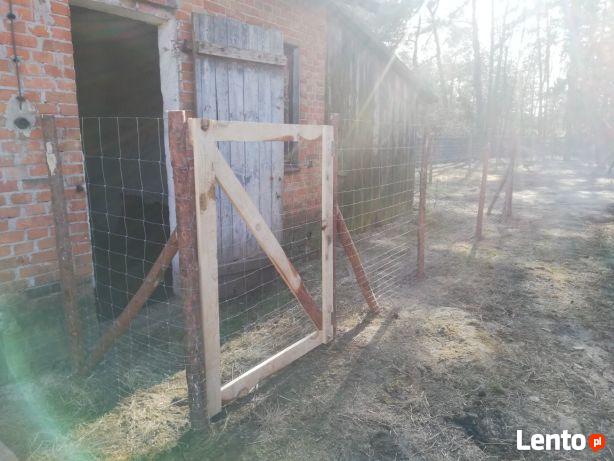 Ogrodzenia tymczasowe z siatki leśnej ogrodzenia budowlane