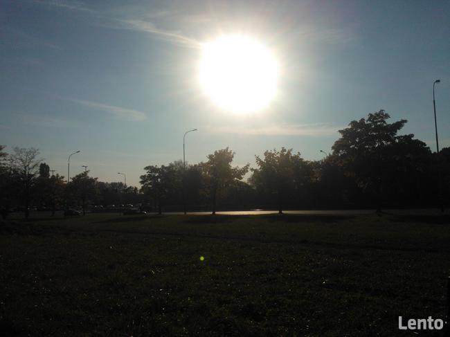 Działki budowlane w pobliżu Łodzi przy lesie RÓŻNE wielkości