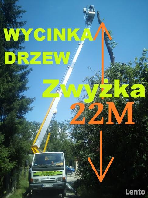 Wycinka Drzew Mielenie Gałęzi Usuwanie Pni Korzeni