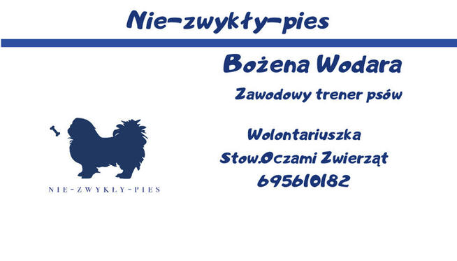 Trener psów Kluczbork, Szkolenia psówKluczbork, Behawiorysta