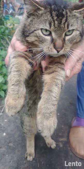 LADNY , PRZYSTOJNY BRUNET pozna MILA DZIEWCZYNE !