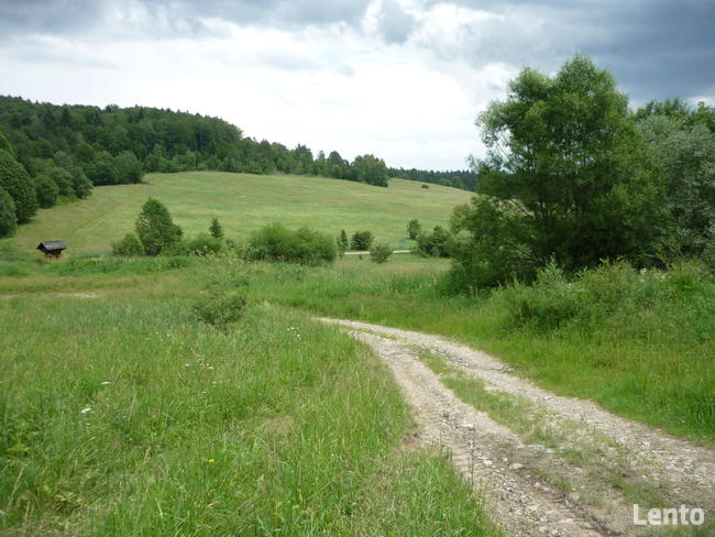 Działka w Bieszczdach