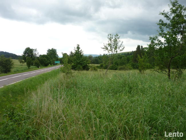Działka w Bieszczdach