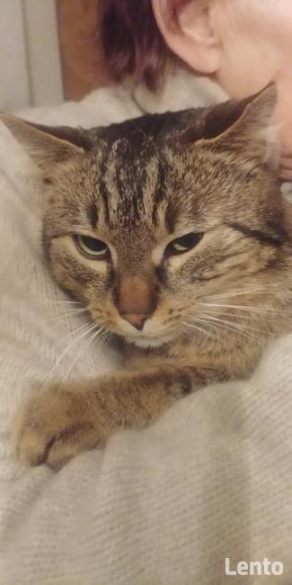 LADNY , PRZYSTOJNY BRUNET pozna MILA DZIEWCZYNE !