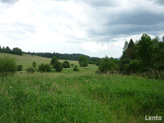Działka w Bieszczdach