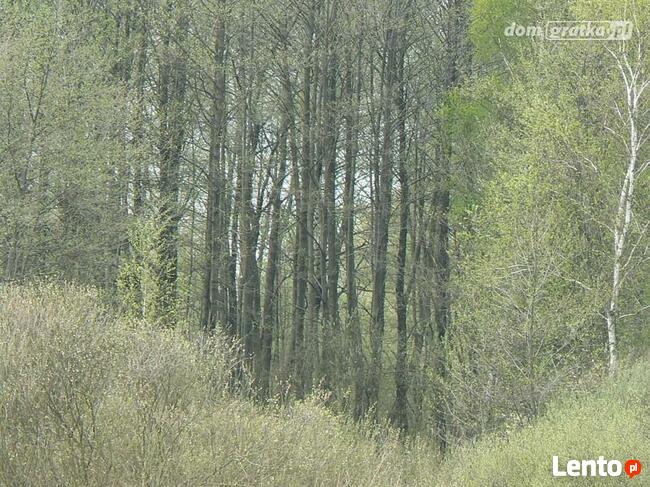 13ha w Boguszycach